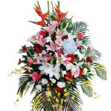 ·ʻٵ