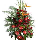 ·ʻٵ